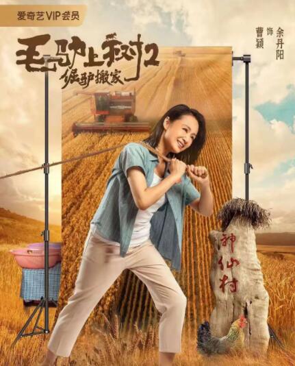 成人区精品一区二区不卡亚洲